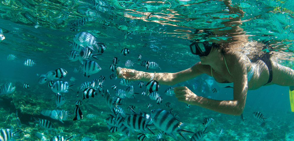liveaboard diving thailand
